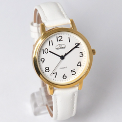 Hodinky Bentime 1/1-14947G