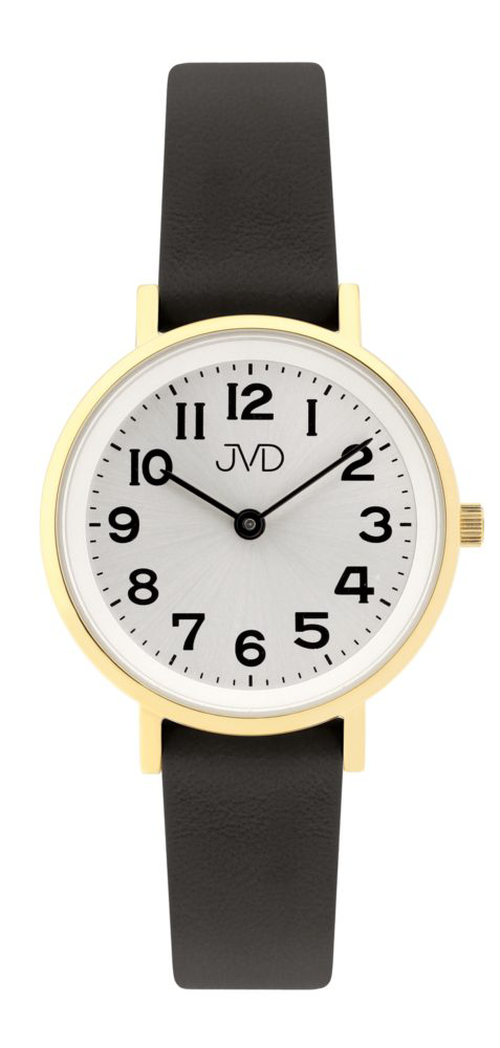Náramkové hodinky JVD J4195.3