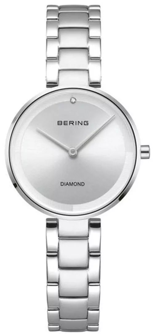 Bering Classic 17529-700